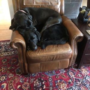 Meet your Posher, Tommy